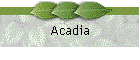 Acadia