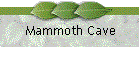 Mammoth Cave